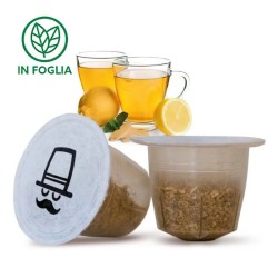 Capsule compatible Nespresso® tisane citron gingembre